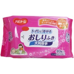 《セット販売》 ピジョン ハビナース トイレに流せるおしりふき 大判厚手 (40枚)×6個セット 介護 清拭 スキンケア用品 大人用｜smaruko2