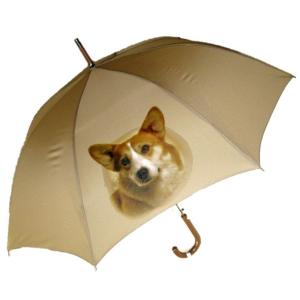 傘/犬柄/コーギー ・ ペンブローク/顔アップ 1 / 65cm / ベージュ/風に強くて折れにくい 日傘にもなる サイクロンジャンプ傘 ト｜smaruko