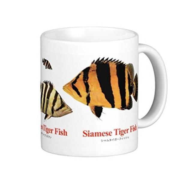 シャムタイガーのマグカップ：フォトマグ（世界の熱帯魚シリーズ） (日本語入り)