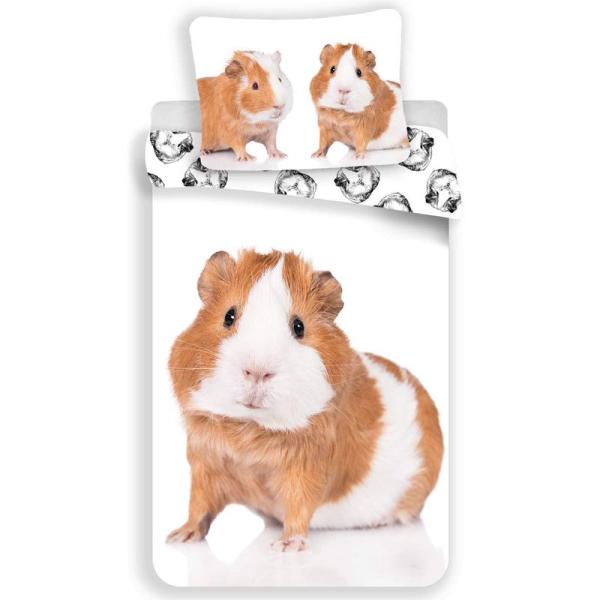 9658 モルモット Guinea Pig シングル 布団カバー+枕カバー セット 並行輸入品