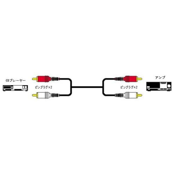 JVCケンウッド ビクター ピンプラグX2-ピンプラグX2 1.5M CN-160G