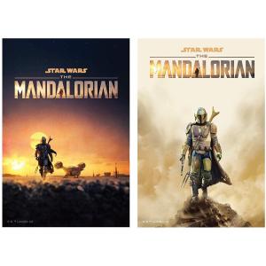 スター・ウォーズ STAR WARS マンダロリアン The Mandalorian/ステッカーセット [２枚セット]｜smazakplus