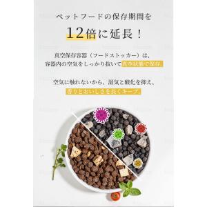 フードストッカー 真空保存容器 12L 大容量...の詳細画像2