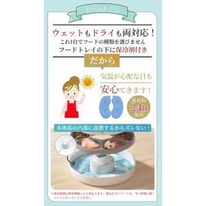 Moizze ウェットフード 自動給餌器 6食...の詳細画像4