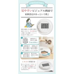 Moizze ウェットフード 自動給餌器 6食...の詳細画像5