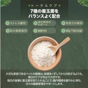 ビオテイル トカゲ|おなかバランス (トカゲ用...の詳細画像2