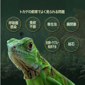 ビオテイル トカゲ|おなかバランス (トカゲ用...の詳細画像3
