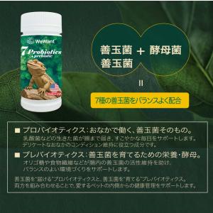 ビオテイル トカゲ|おなかバランス (トカゲ用...の詳細画像4
