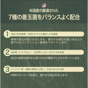 ビオテイル トカゲ|おなかバランス (トカゲ用...の詳細画像5