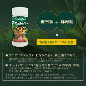 ビオテイル ヤモリ|おなかバランス (ヤモリ用...の詳細画像4