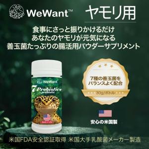 ビオテイル ヤモリ|おなかバランス (ヤモリ用...の詳細画像1