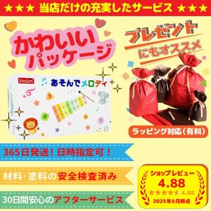 知育玩具 あかちゃん 赤ちゃん おもちゃ ハン...の詳細画像4