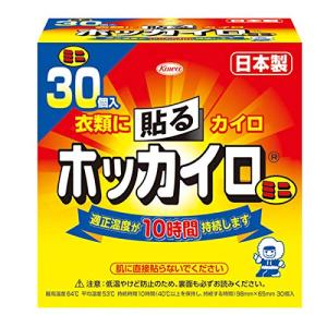 ホッカイロ 貼る ミニ 30個の商品画像