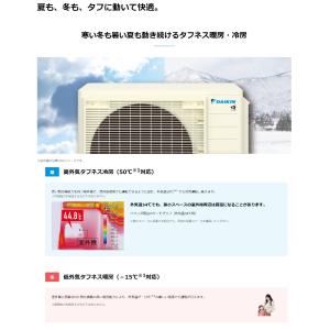 ダイキン ルームエアコン 6畳 S226ATE...の詳細画像5