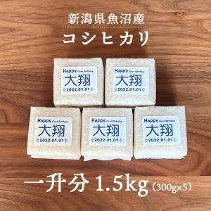 一生米 一升米 名前入り 送料無料 小分け い...の詳細画像1