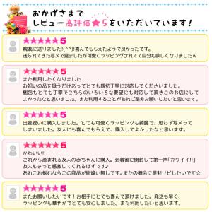 おむつケーキ エイデンアンドアネイ 出産祝い ...の詳細画像5