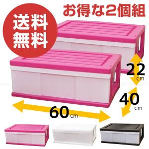 ワイド収納ケース ドリーム 1段 「2個セット」の商品画像