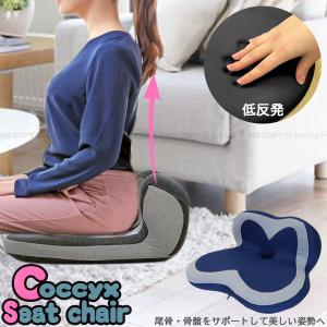 猫腹もっちりまくら NRY-NECO 「中小田井」/ 低反発 もっちり もちもち