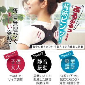 猫背バイブベルト 70183 「ゆうパケ送料無...の詳細画像1