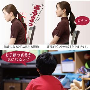 猫背バイブベルト 70183 「ゆうパケ送料無...の詳細画像2