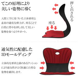美姿勢サポートチェア スワンル ボーテ 「送料...の詳細画像2