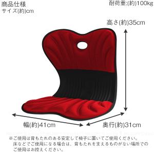 美姿勢サポートチェア スワンル ボーテ 「送料...の詳細画像3