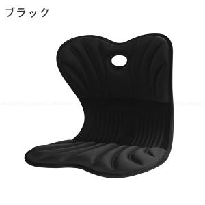 美姿勢サポートチェア スワンル ボーテ 「送料...の詳細画像4