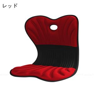 美姿勢サポートチェア スワンル ボーテ 「送料...の詳細画像5