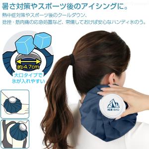 アイスバッグ1300 「ゆうパケ送料無料」/ ...の詳細画像1