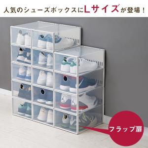 折りたたみクリアシューズケース 「Lサイズ 」の詳細画像1