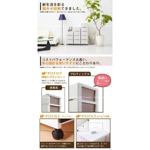 PROFIX「プロフィックス」ルームケース /...の詳細画像1