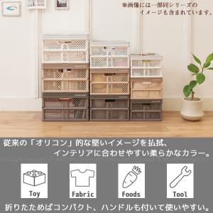 PROFIX 折りたたみバスケットハンドル付 ...の詳細画像1