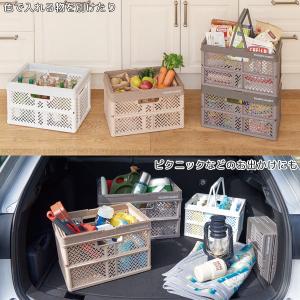PROFIX 折りたたみバスケットハンドル付 ...の詳細画像3