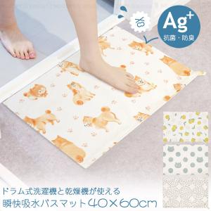PUWRAP バスマット 45×60/ 洗面所 浴室 脱衣所 マット 吸水 抗菌 防臭
