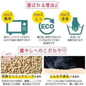 Salofix ホット&スチームパッド アイマ...の詳細画像2