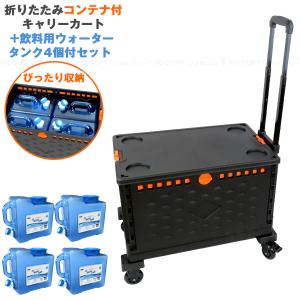 Felio 折りたたみコンテナ付キャリーカート F21660 「送料無料