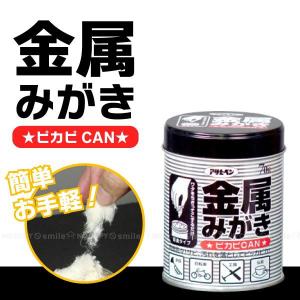 ぴかぴか 金属みがき ピカピCAN / ぴかぴかん ピカピカン 楽器 工具 金属 サビ