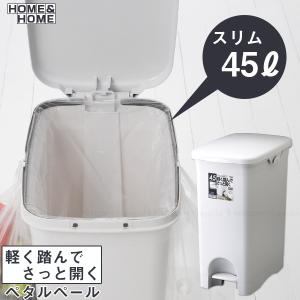 LiSS（リス） コンテナスタイル 45J 「CS2-45J」 「送料無料」 : 住
