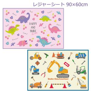 □在庫限り・入荷なし□レジャーシート ポケットモンスター XY＆Z S