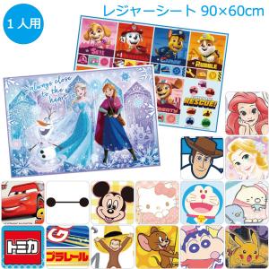 Disney ディズニー チップ＆デール レジャーシート 90cm×90cm