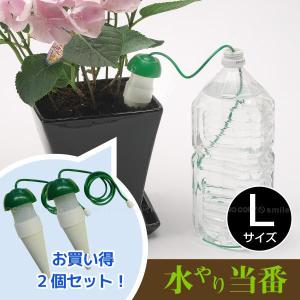 「在庫処分」BIG 水やり当番L グリーン 「お...の商品画像