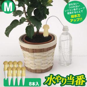 水やり当番M「4本セット」「コンパクト便」/ 水やり サイフォン 毛細管