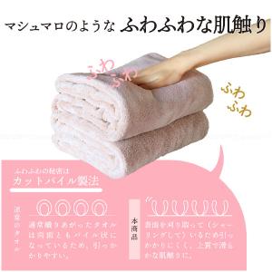 カラリデイ バスタオル 2枚組 / バスタオル...の詳細画像4