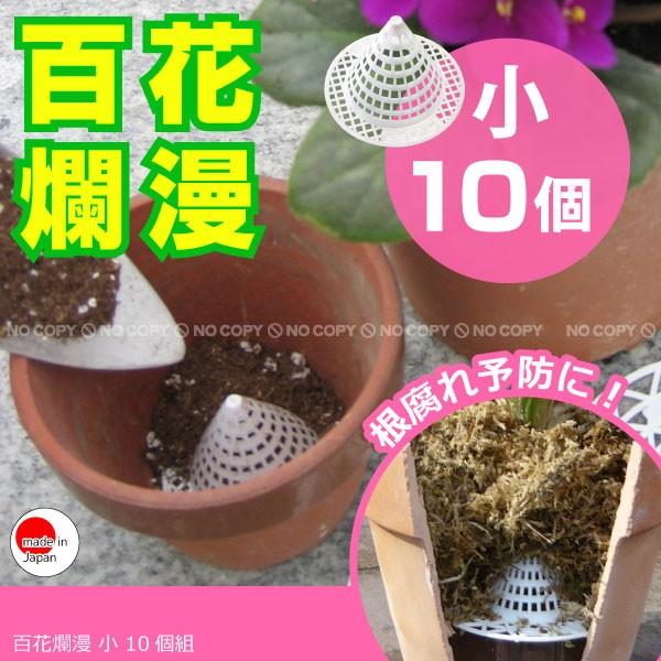 百花爛漫 小 10個組