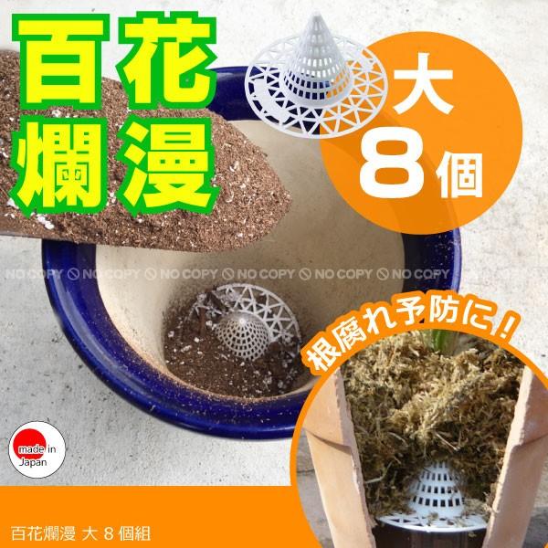 百花爛漫 大 8個組