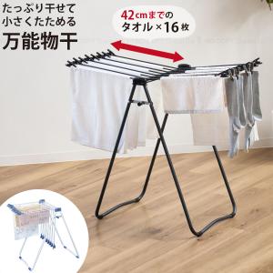 ニュースタンド物干45 LSM-45 「送料無料...の商品画像