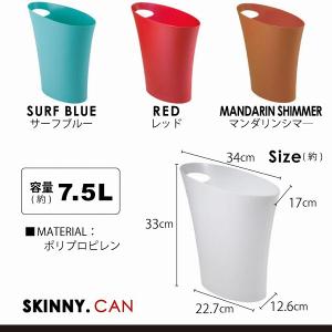 umbra アンブラ / スキニーカン SKI...の詳細画像5