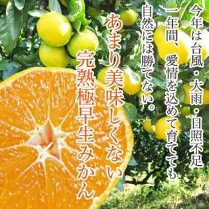 送料無料 愛媛産 あまり美味しくない可愛そうな完熟大玉みかん 10kg 2L3Lサイズ 訳あり 産地直送 愛媛みかん 果物 柑橘類 【※送料無料は一部地域除く】