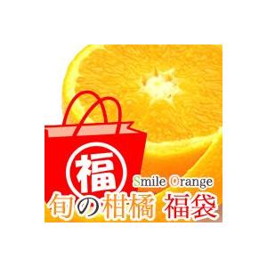 【送料無料】店長が選んだ旬の味覚福袋☆8kg ご家庭用 サイズ不揃い 産地直送 みかん 果物 国産 ...