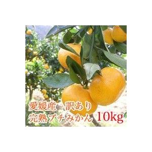 【送料無料】愛媛産 訳あり 完熟プチみかん 10kg  ご家庭用 小玉 こつぶ ぷち 小粒 S 2S みかん 愛媛みかん 早生みかん【※送料無料は一部地域を除く】